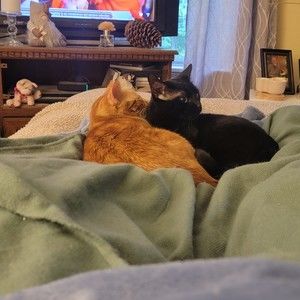 Meet your Posher, Judy